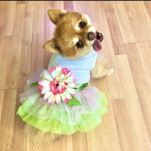 Green Tutu Flower Dress
